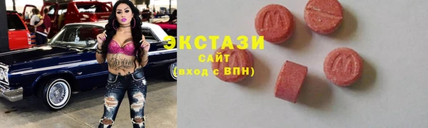 гидра Арсеньев