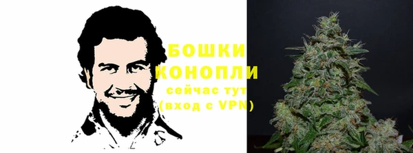 спайс Алексин