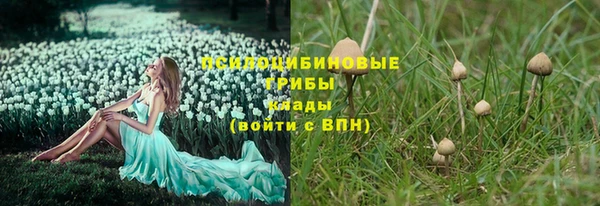 спайс Алексин