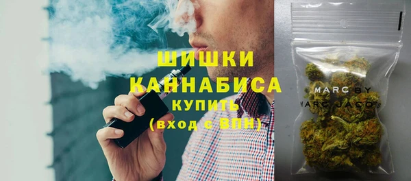 спайс Алексин